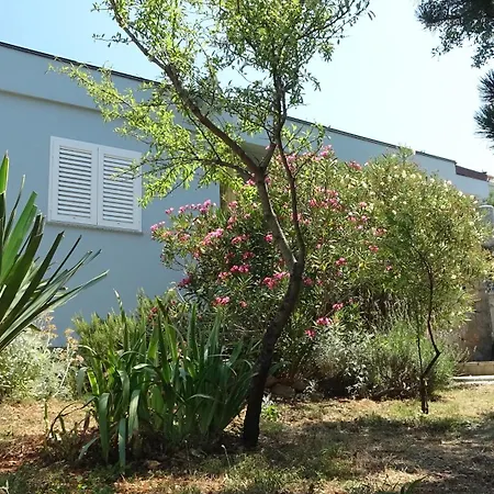 35 Meters From Sea Apartment Keser And House Karlobag Exterior photo
