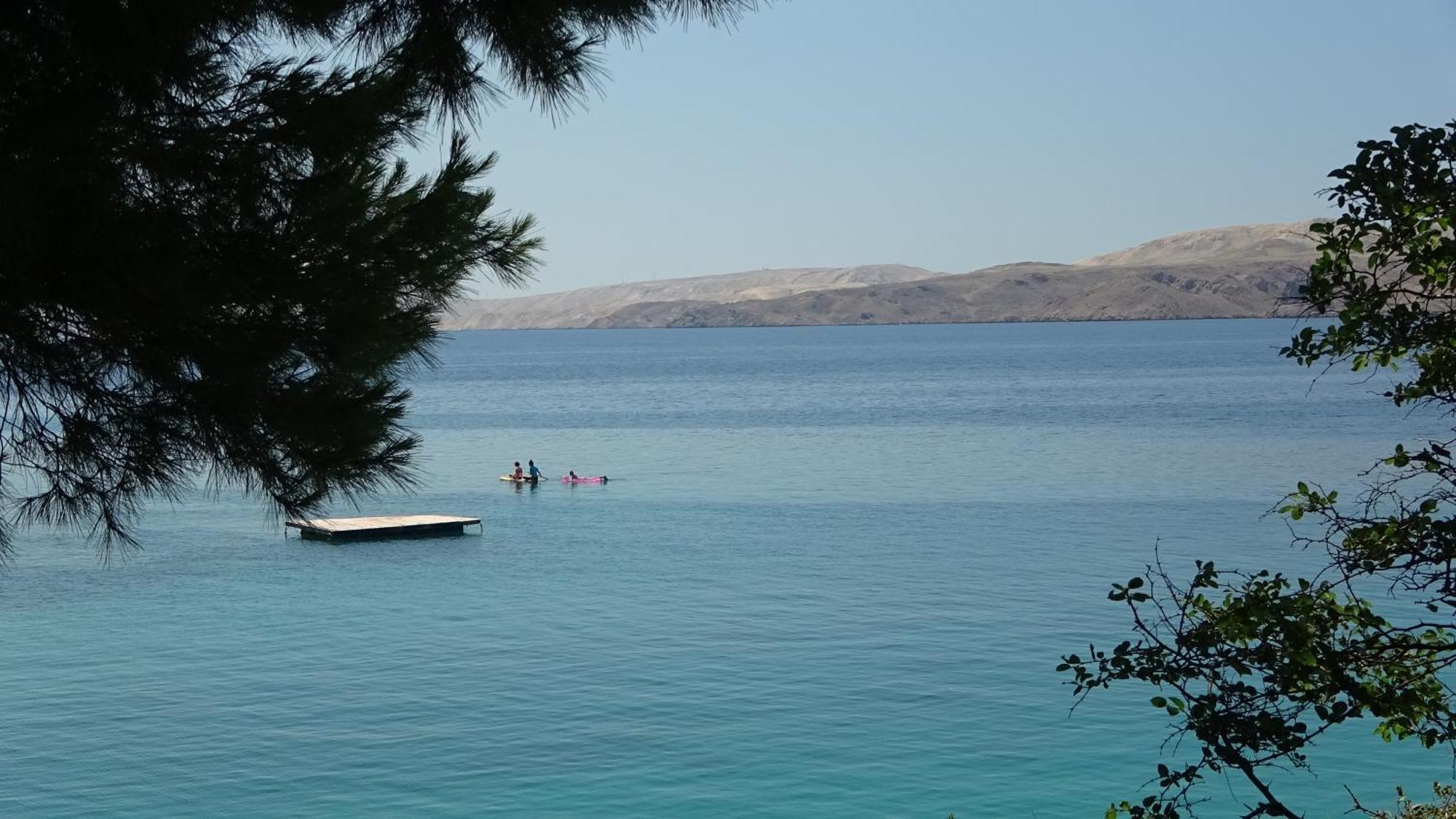 Apartment 35 Meters From Sea Keser And House *