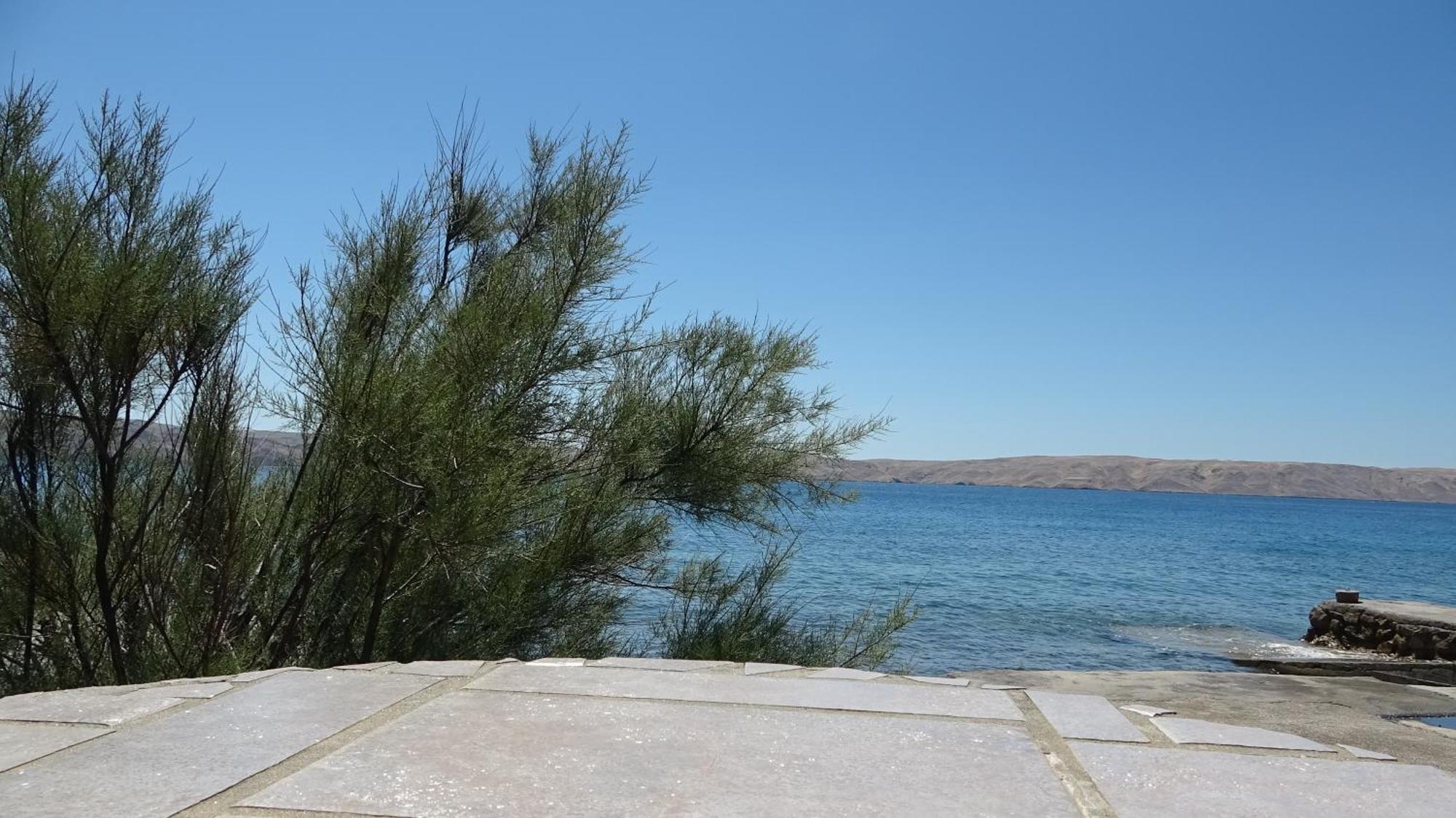 35 Meters From Sea Keser And House Apartment